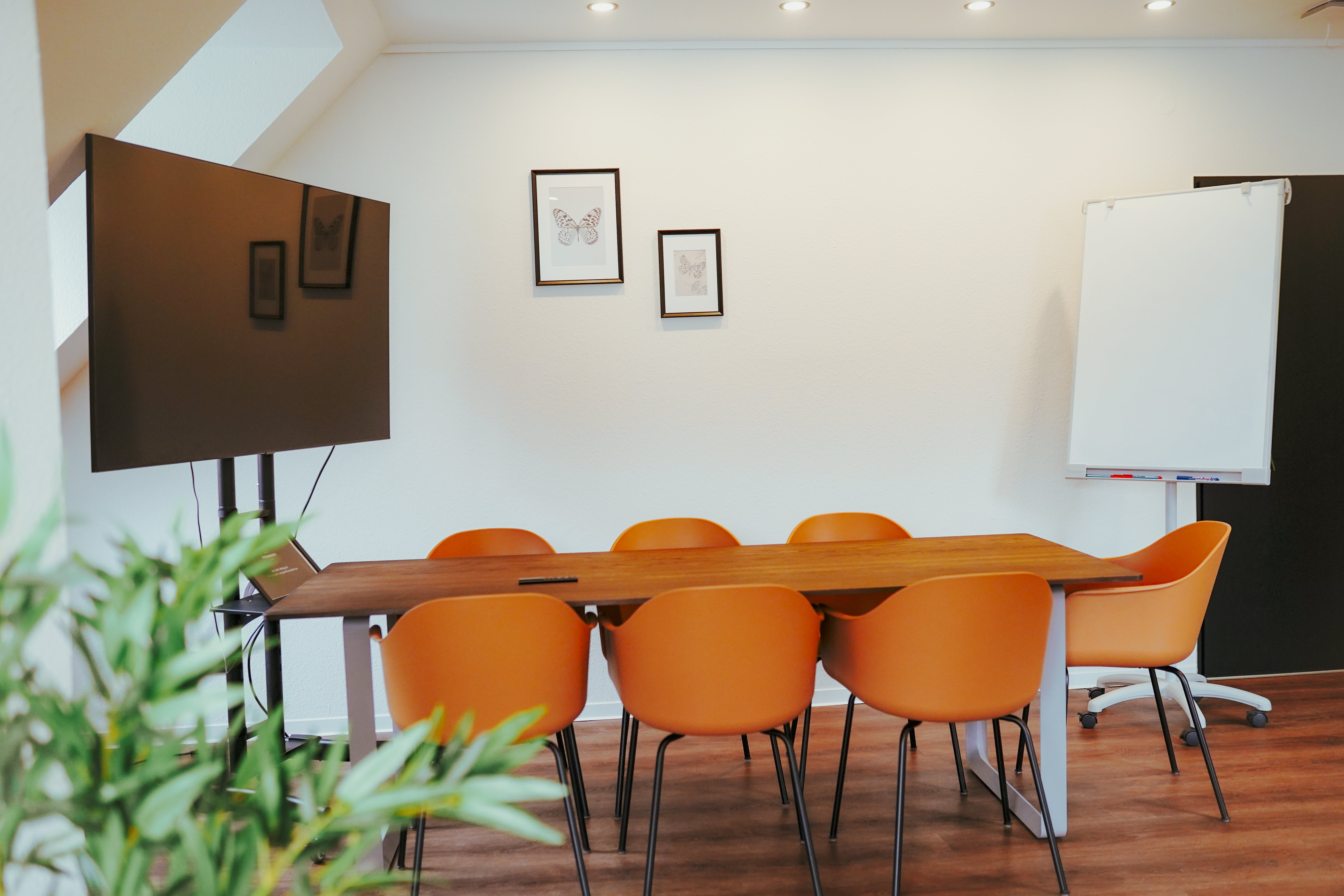 Pioneers Flat - Bild 1